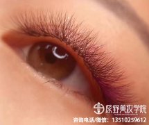 学美甲美睫一般学费多少钱（学美甲和种睫毛要多少钱）
